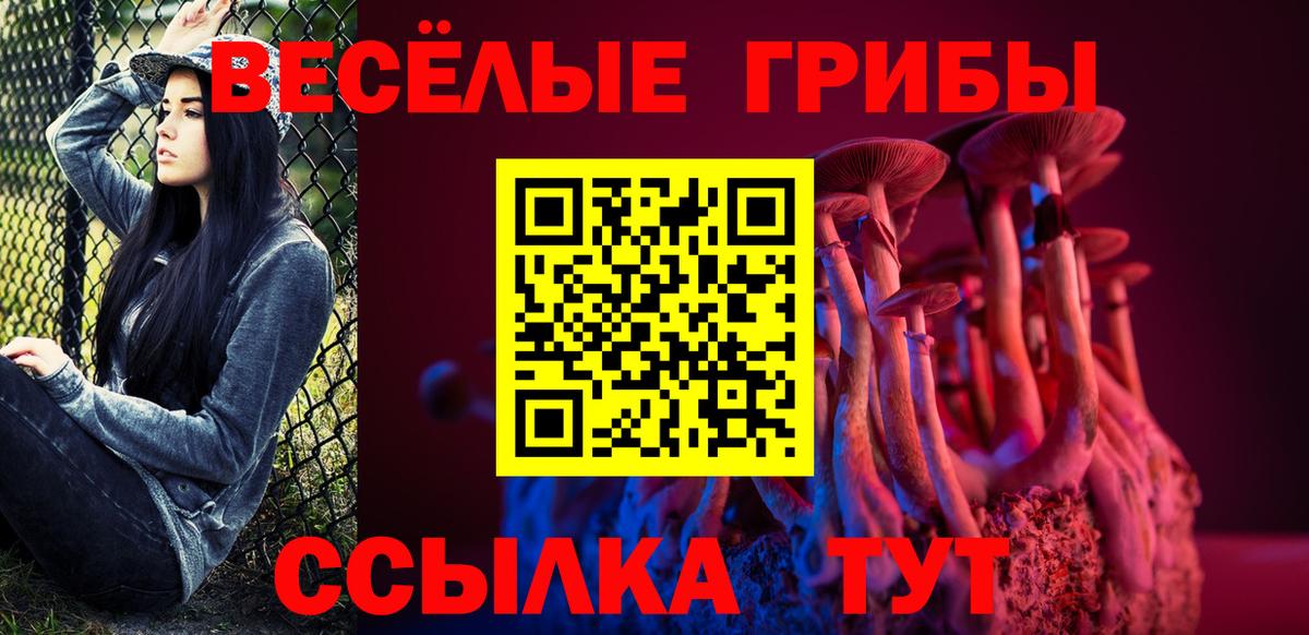Псилоцибиновые грибы Psilocybine cubensis  Вход с VPN  Саяногорск 