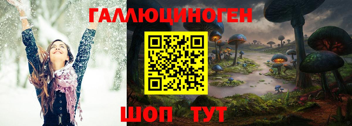 Псилоцибиновые грибы мицелий Саяногорск